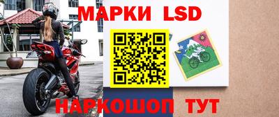 ПСИЛОЦИБИНОВЫЕ ГРИБЫ Вязники