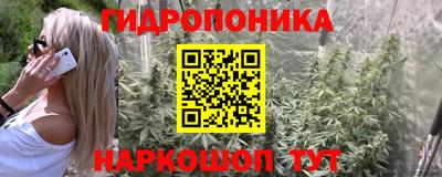 ПСИЛОЦИБИНОВЫЕ ГРИБЫ Вязники