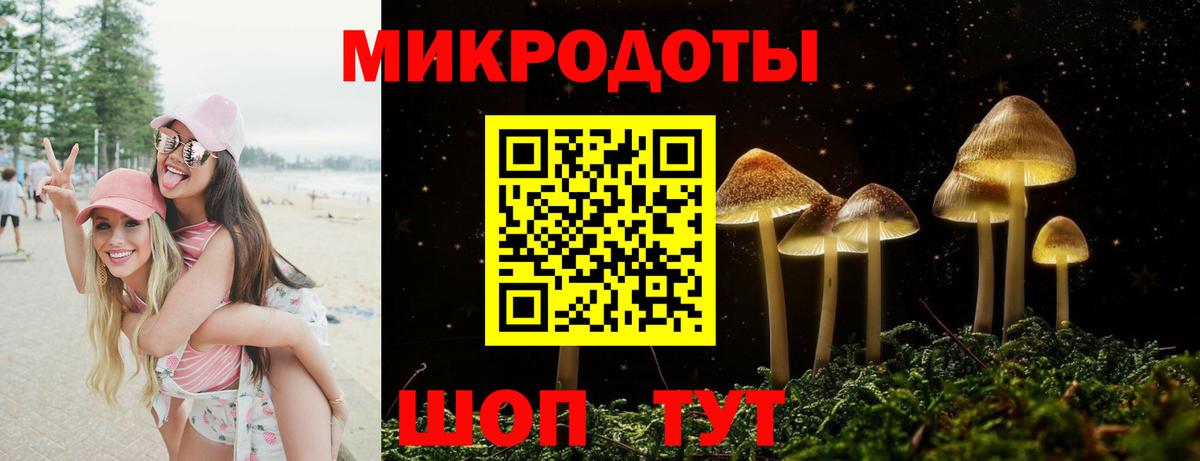 Псилоцибиновые грибы Psilocybine cubensis Сердобск